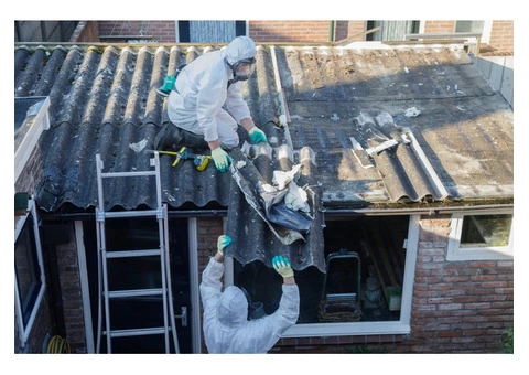 Choose Safe Asbestos Removal Services For Your Safety - 2/3