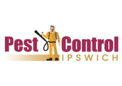 Bees Control Ipswich