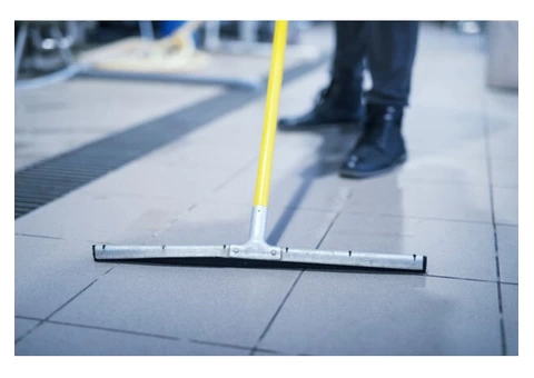 Need to clean up your dirty carpet professionally?