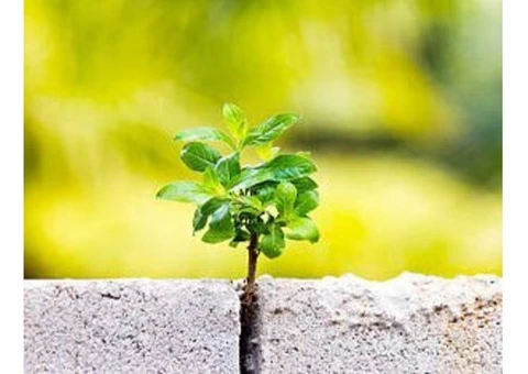 Exposed Aggregate Driveway Specialist in Melbourne - 4/5