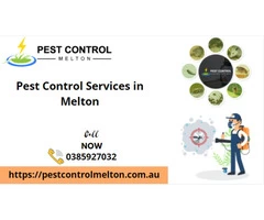 Pest Control Services in Melton