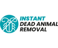 Dead Animal Removal Brisbane