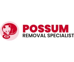 Hire Australia’s #1 Possum Removal Specialist at Low Cost