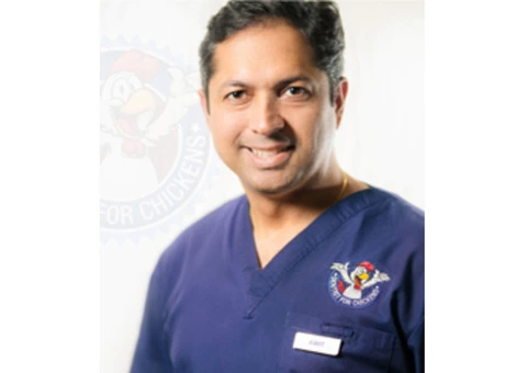 Dentist In Australia