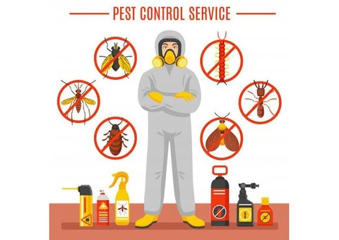 Pest Control East Ipswich