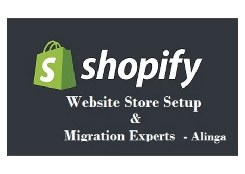 Hire a renowned agency for Shopify website setup
