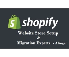 Hire a renowned agency for Shopify website setup