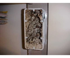 Don’t Risk Your Home – Install Termite Baiting System today!