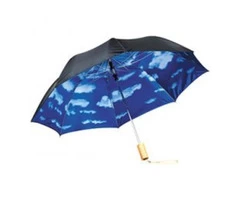 Shop Custom Printed Blue Skies Auto Open Folding Umbrella At Vivid Promotions