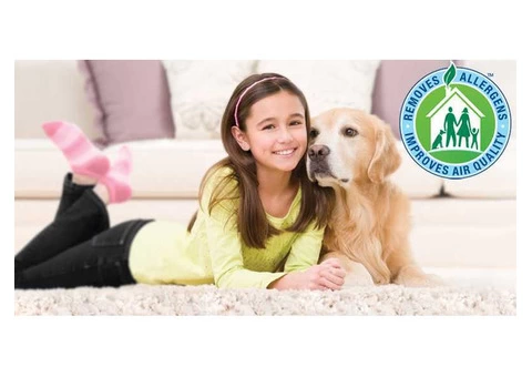 Carpet Cleaners Bunbury | 0488 950 833
