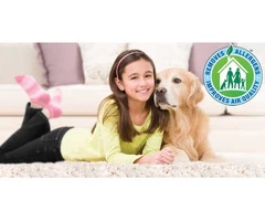 Carpet Cleaners Bunbury | 0488 950 833