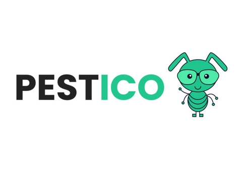 Borer Control Bendigo - Get Same Day Service - Pestico Pest Control Geelong