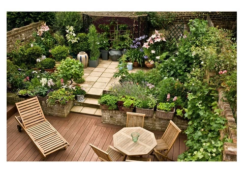 Nursery supplies in Brisbane? Capalaba Nursery has got you covered!