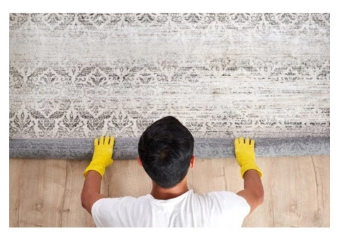 Carpet Cleaner Blacktown - 5/5