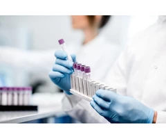 Chemistry Glassware | Asis Scientific