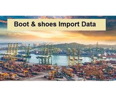 Access the Latest Boot & Shoes Import Data