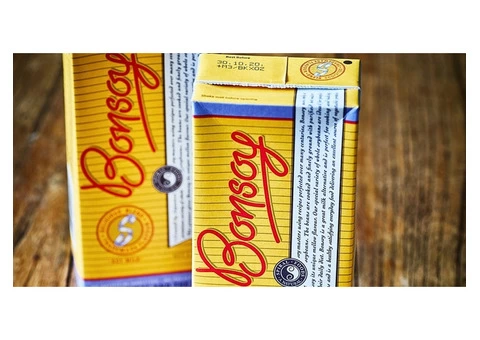 Bonsoy Soy Milk Australia | Organic and Vegan