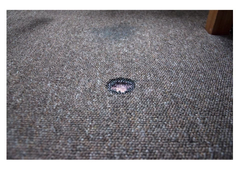 Carpet Repair Services in Sunshine Coast - Best Carpet Fixing Service in Sunshine Coast - 2/2