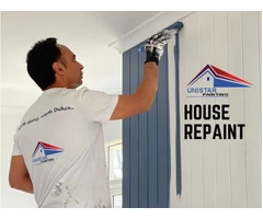 Looking for Professional House painters Chelsea?