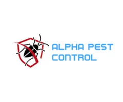 Pest Control In Braybrook