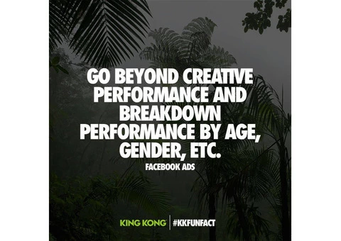 king kong - Leading ROI Driven Digital Agency. - 2/4