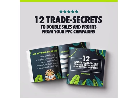 king kong - Leading ROI Driven Digital Agency. - 3/4