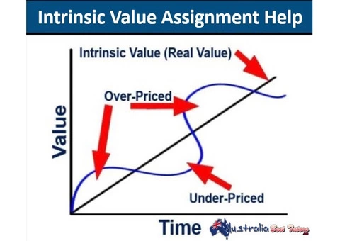 Intrinsic Value Assignment Help