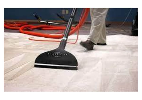 Carpet Cleaning Neutral Bay - 1/3