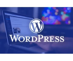 Best Wordpress Website Design Company Wantirna (Melbourne)