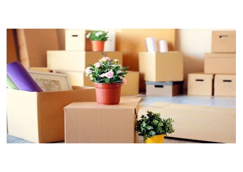 Movers Melbourne - 2/3