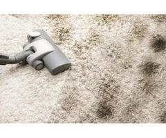 Hot Water Extraction Carpet Cleaner Sydney