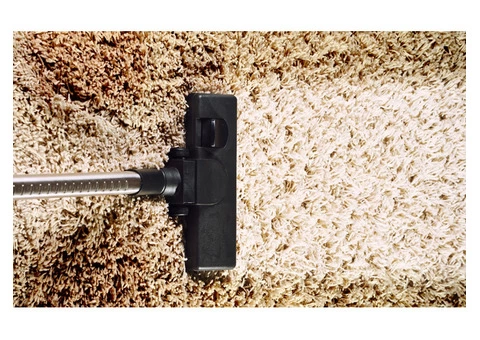Looking for Carpet Mould Removal in Perth?