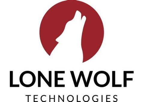 Mortgage Lending Business Intelligence - 2/2