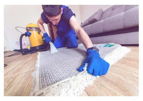 Certified and Licensed Residential Carpet Cleaning Sydney Professionals