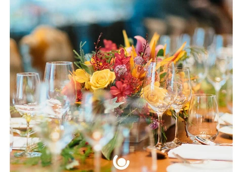 The Royal Event Planner and Decorator in Sydney that Adds Natural Flair to Interior Décor!