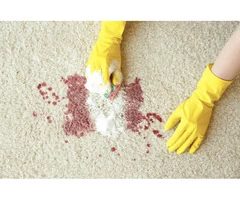 Professional Carpet Stain Removal in Perth