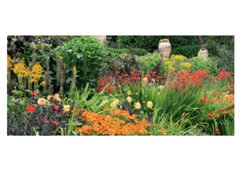 Blackwood garden supplies - 4/4