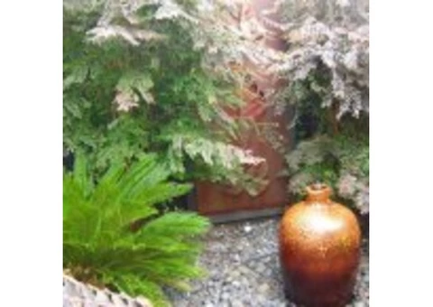 landscape garden design