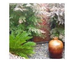 landscape garden design