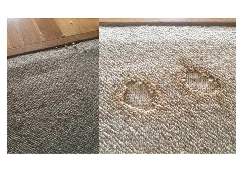 Carpet Repairs Sydney - 3/5