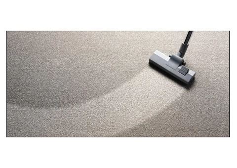 Carpet Cleaning Service Brighton