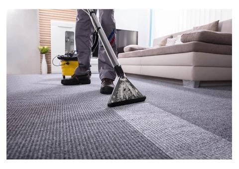 Economical Carpet Cleaning Services - 2/5