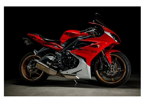 Hire Professional Photographers in Canberra for Capturing Your Memories - Images Instantly - 5/5