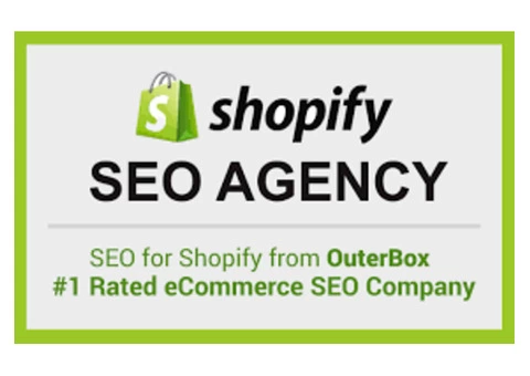 Hire a reputed agency for Shopify SEO services