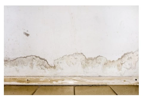 Quick And Efficient Carpet Flood Damage Cleaning Services In Melbourne - 2/4