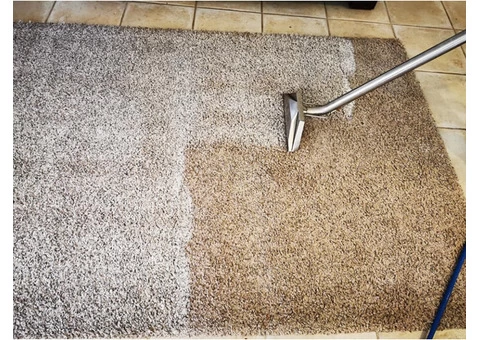Quick And Efficient Carpet Flood Damage Cleaning Services In Melbourne - 3/4