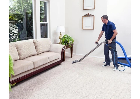Professional Carpet Steam Cleaning Services - 2/2