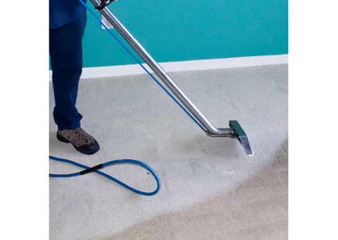 Cheap Carpet Steam Cleaning Services In Highton