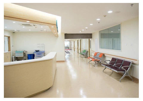 Hire the Best Cleaning Company in Illawarra, Wollongong and Other Suburbs - 1/5