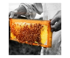 Vallentine's Honey | World's Strongest Honey